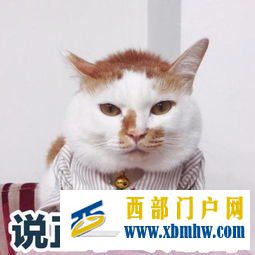 内蒙古很美,但也不要忘记这些(图3) 内蒙古很美,但也不要忘记这些(图3)