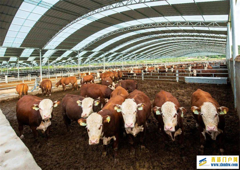 固原：发展“六特”产业&nbsp;打造最普惠的“造富车间”(图1)