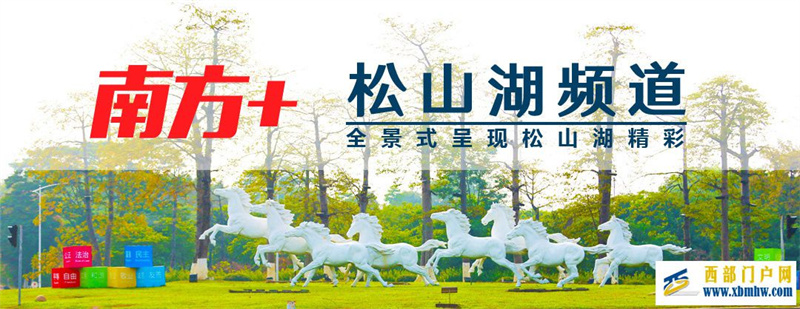 把培训班开到贵州铜仁!莞铜携手育人才、促发展(图1) 把培训班开到贵州铜仁!莞铜携手育人才、促发展(图1)