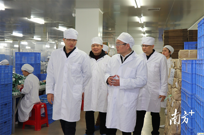 揭西税务留抵退税加速度“真金白银”稳落企业“口袋”(图1) 揭西税务留抵退税加速度“真金白银”稳落企业“口袋”(图1)