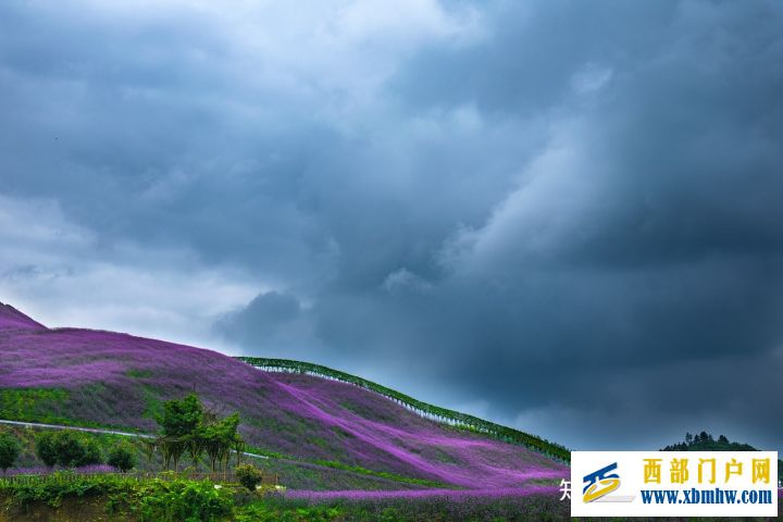 贵州的历史(图2) 贵州的历史(图2)