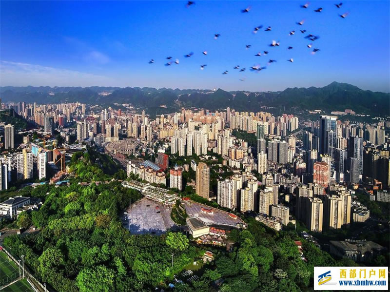 俯瞰重庆沙坪坝踏上“最文气”的旅程(图4) 俯瞰重庆沙坪坝踏上“最文气”的旅程(图4)