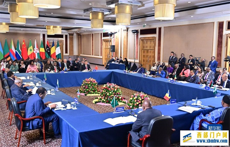 习近平和南非总统拉马福萨共同主持中非领导人对话会(图3) 习近平和南非总统拉马福萨共同主持中非领导人对话会(图3)