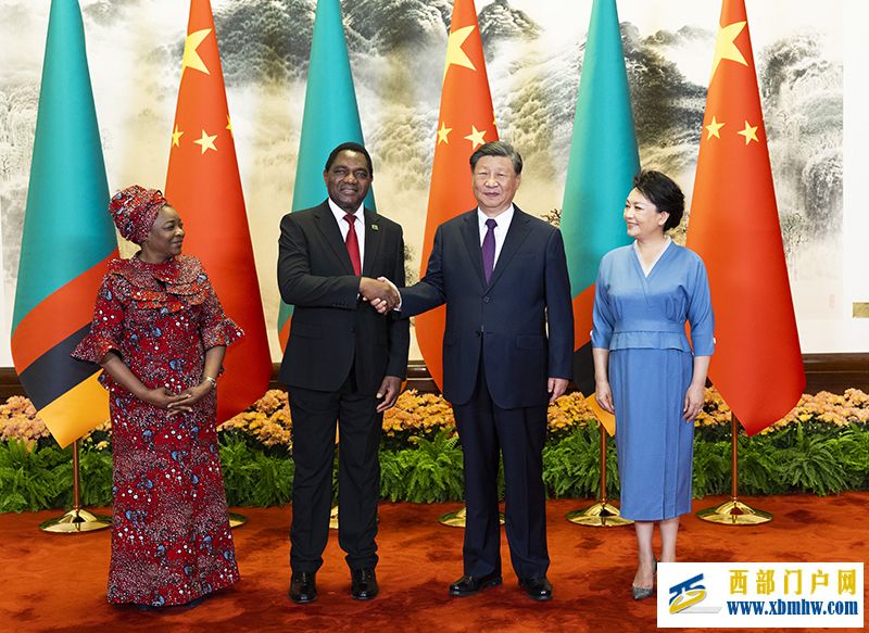 习近平同赞比亚总统希奇莱马会谈(图3) 习近平同赞比亚总统希奇莱马会谈(图3)