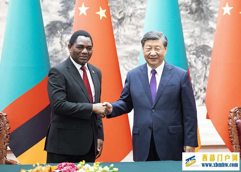 习近平同赞比亚总统希奇莱马会谈(图5) 习近平同赞比亚总统希奇莱马会谈(图5)