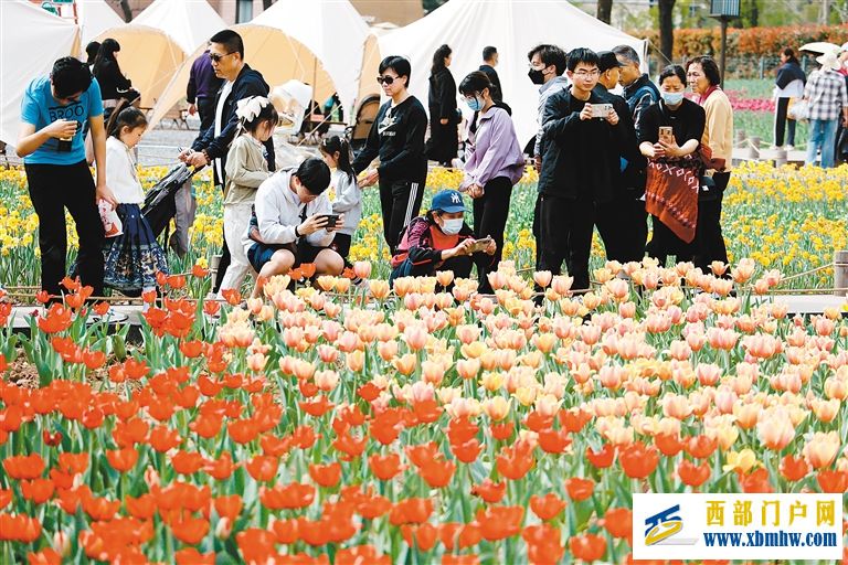 一朵花背后的经济密码(图1) 一朵花背后的经济密码(图1)