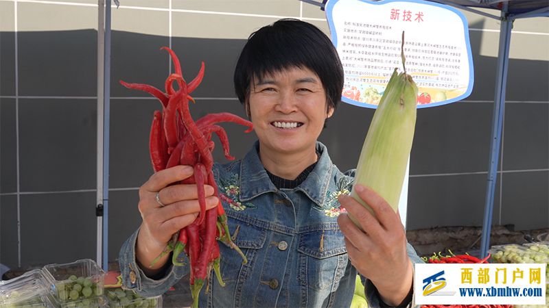 银川市兴庆区2024年中国农民丰收节系列活动启幕(图2)