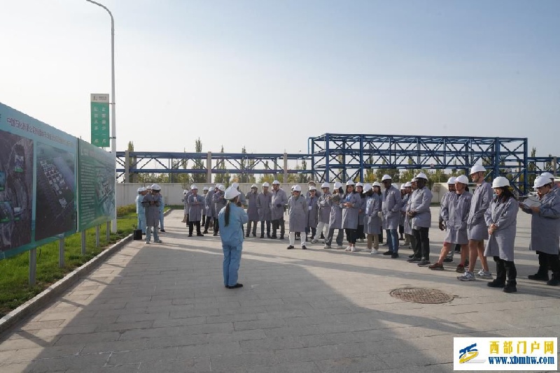 透过绿色新疆感受中国高质量发展活力(图3)