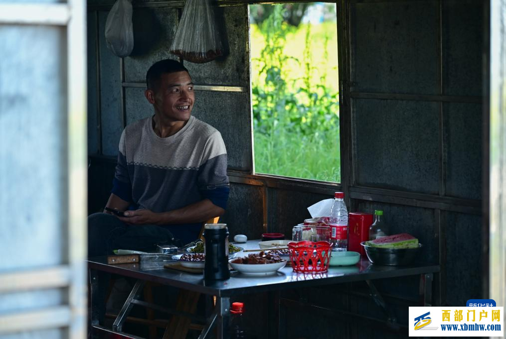 追花人家 甜在田间(图7)