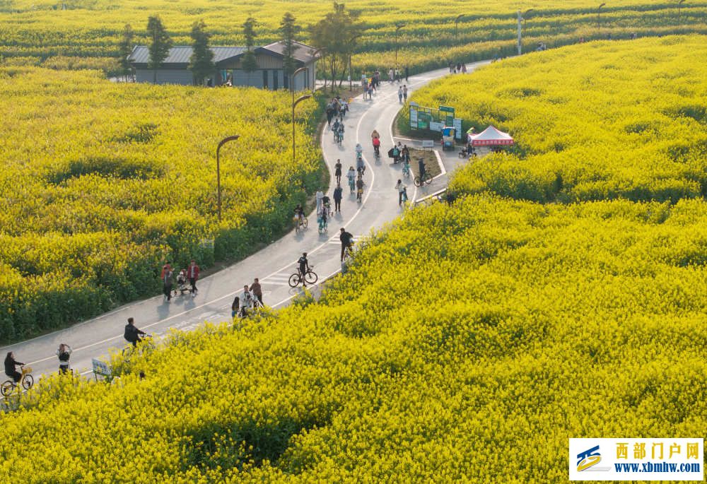 在成都｜从晨曦到夜色，感受生态之城的绿色脉搏(图8)