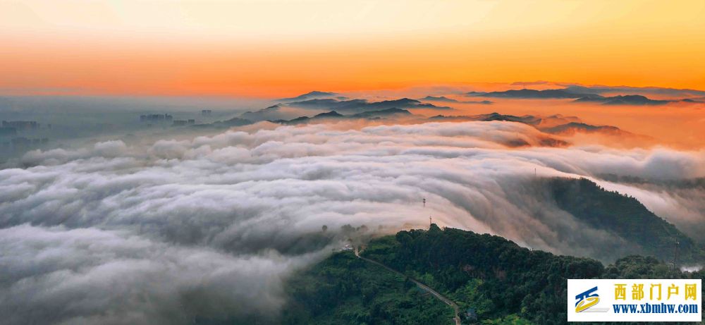 在成都｜从晨曦到夜色，感受生态之城的绿色脉搏(图21)