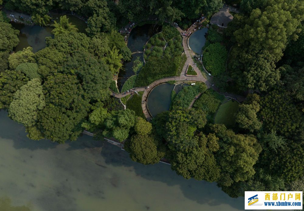 在成都｜从晨曦到夜色，感受生态之城的绿色脉搏(图27)