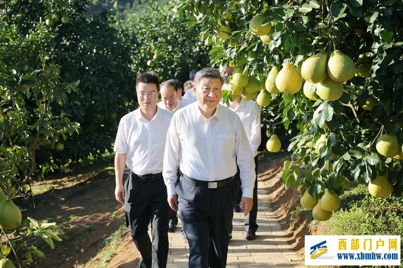 习近平在广东考察时强调(图5) 习近平在广东考察时强调(图5)