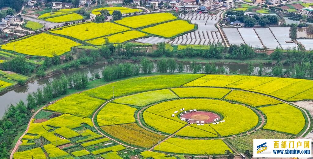 重庆潼南：油菜花开迎客来(图2)